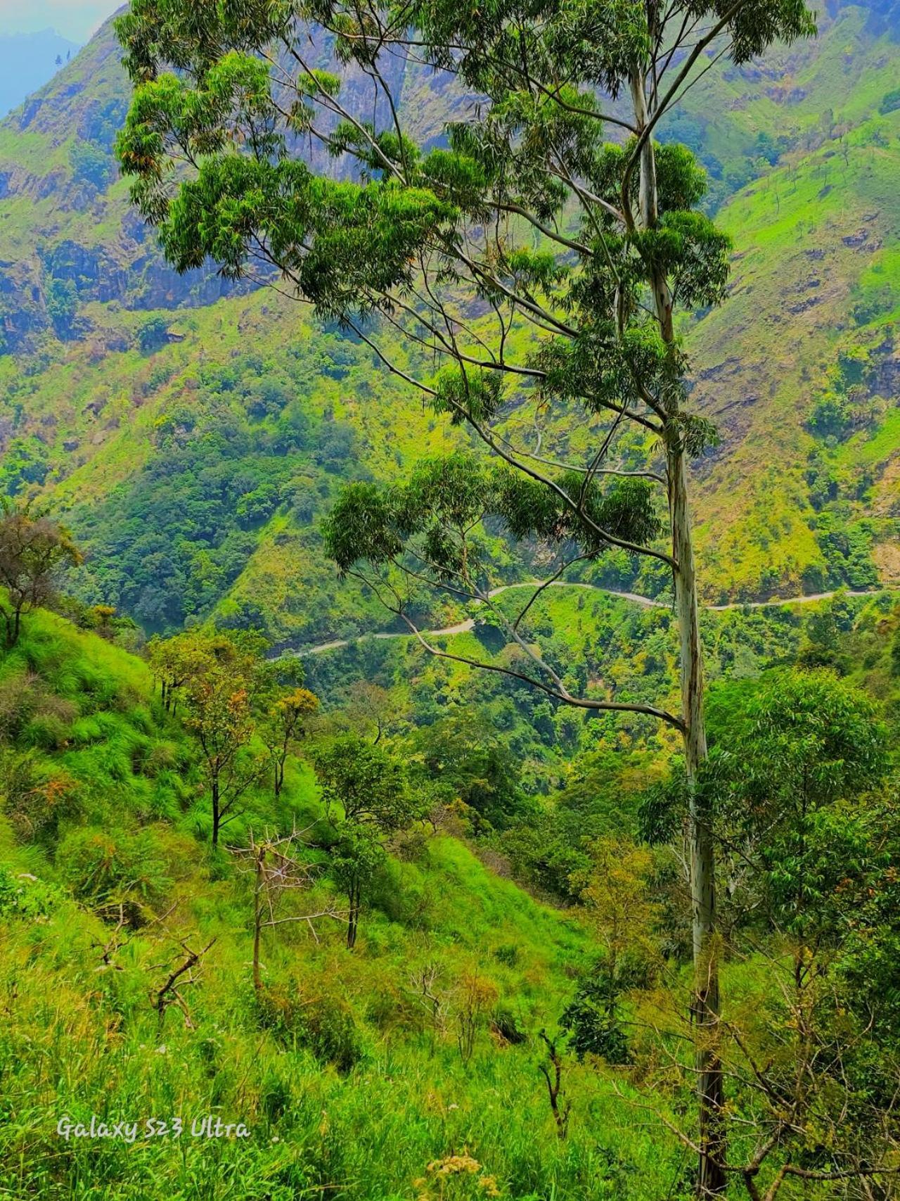 Mountain Range Cottage Ella Ngoại thất bức ảnh