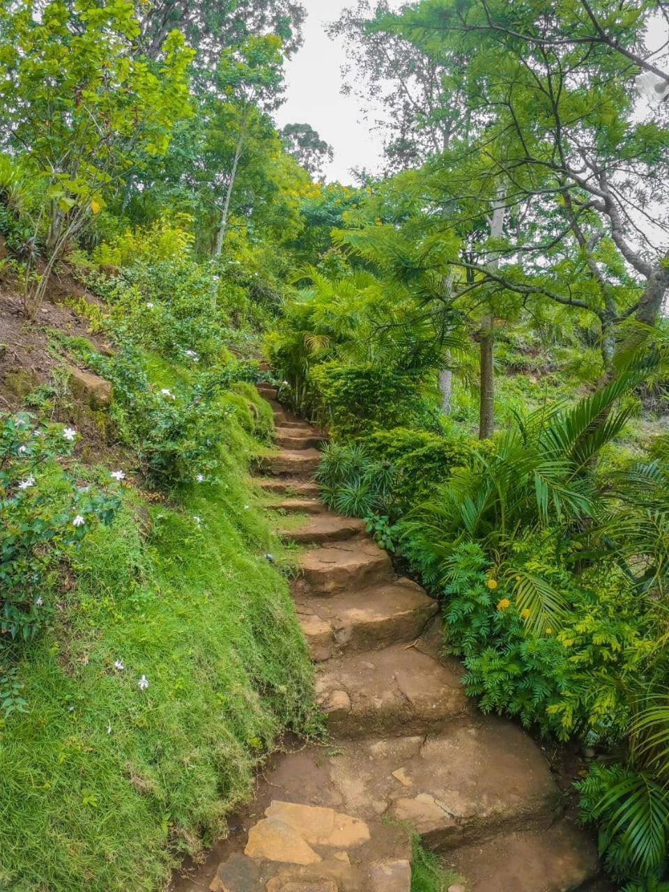 Mountain Range Cottage Ella Ngoại thất bức ảnh